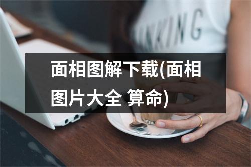 面相图解(面相图片大全 算命)