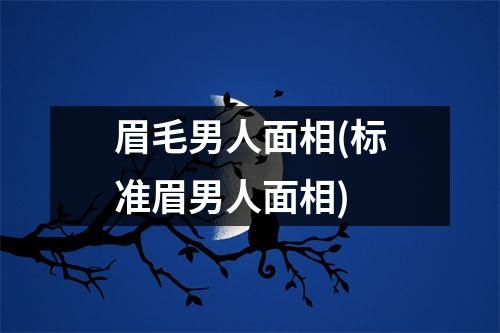 眉毛男人面相(标准眉男人面相)