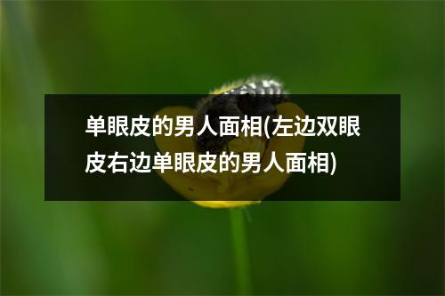 单眼皮的男人面相(左边双眼皮右边单眼皮的男人面相)