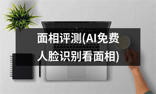 面相评测(AI免费人脸识别看面相)