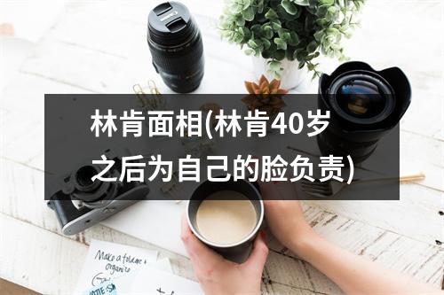 林肯面相(林肯40岁之后为自己的脸负责)