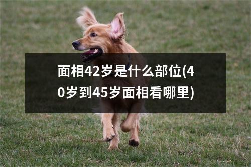 面相42岁是什么部位(40岁到45岁面相看哪里)