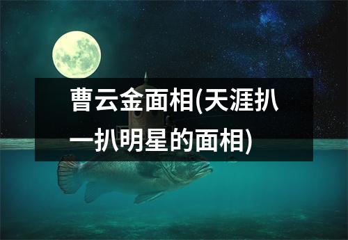 曹云金面相(天涯扒一扒明星的面相)