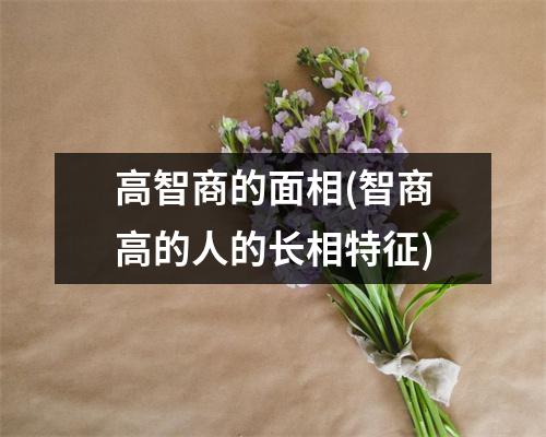 高智商的面相(智商高的人的长相特征)