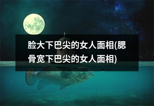 脸大下巴尖的女人面相(腮骨宽下巴尖的女人面相)