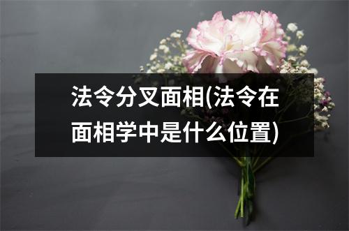 法令分叉面相(法令在面相学中是什么位置)