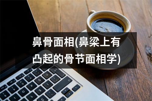 鼻骨面相(鼻梁上有凸起的骨节面相学)