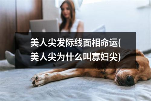 美人尖发际线面相命运(美人尖为什么叫寡妇尖)