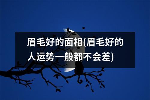 眉毛好的面相(眉毛好的人运势一般都不会差)