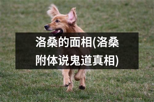 洛桑的面相(洛桑附体说鬼道真相)