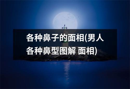 各种鼻子的面相(男人各种鼻型图解 面相)