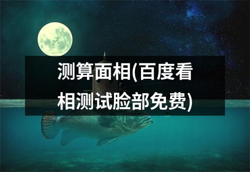 测算面相(看相测试脸部免费)