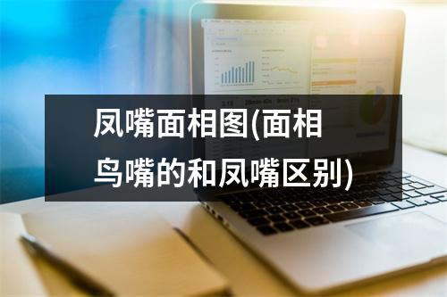 凤嘴面相图(面相 鸟嘴的和凤嘴区别)