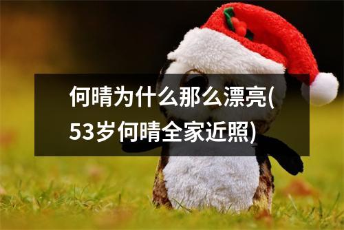 何晴为什么那么漂亮(53岁何晴全家近照)