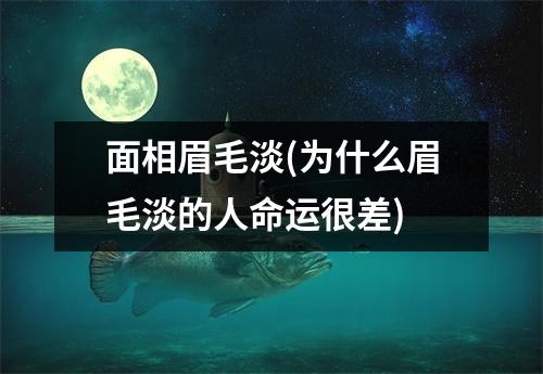 面相眉毛淡(为什么眉毛淡的人命运很差)