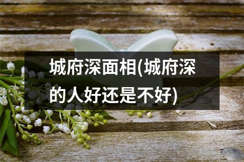 城府深面相(城府深的人好还是不好)