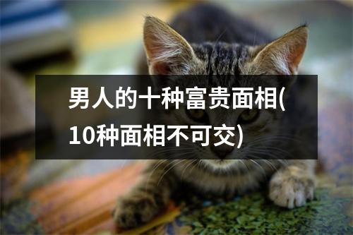 男人的十种富贵面相(10种面相不可交)