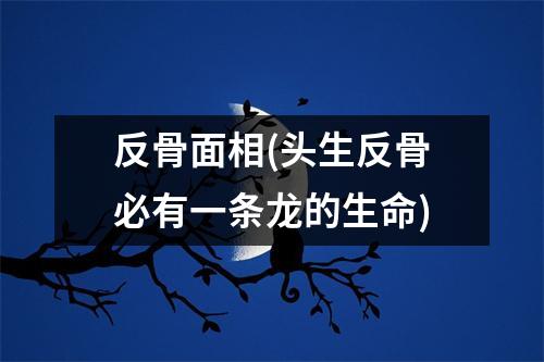 反骨面相(头生反骨必有一条龙的生命)