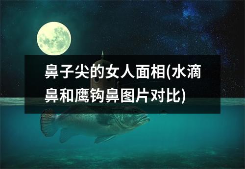 鼻子尖的女人面相(水滴鼻和鹰钩鼻图片对比)