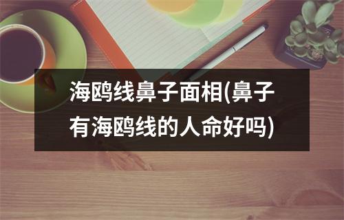 海鸥线鼻子面相(鼻子有海鸥线的人命好吗)