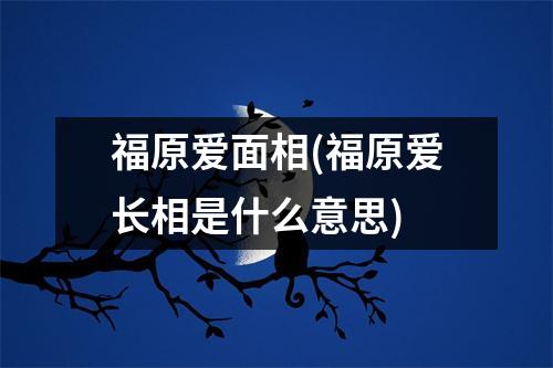 福原爱面相(福原爱长相是什么意思)