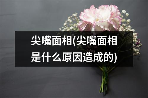 尖嘴面相(尖嘴面相是什么原因造成的)