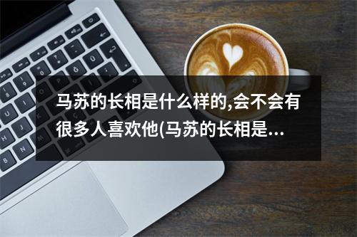 马苏的长相是什么样的,会不会有很多人喜欢他(马苏的长相是属于哪种)