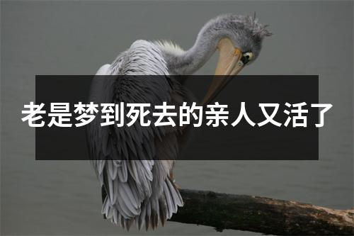 老是梦到死去的亲人又活了