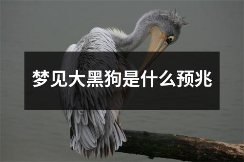 梦见大黑狗是什么预兆