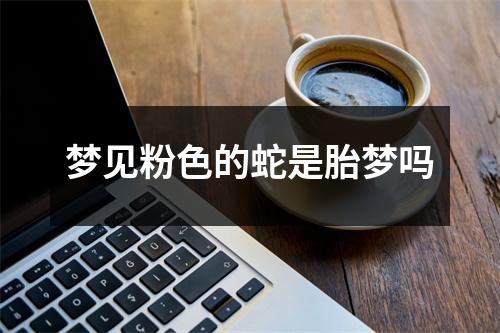 梦见粉色的蛇是胎梦吗