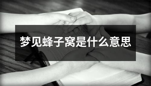 梦见蜂子窝是什么意思