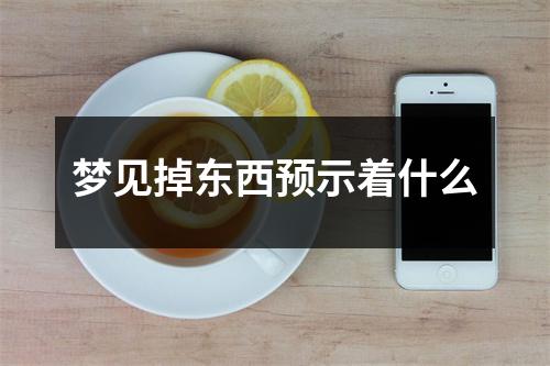 梦见掉东西预示着什么