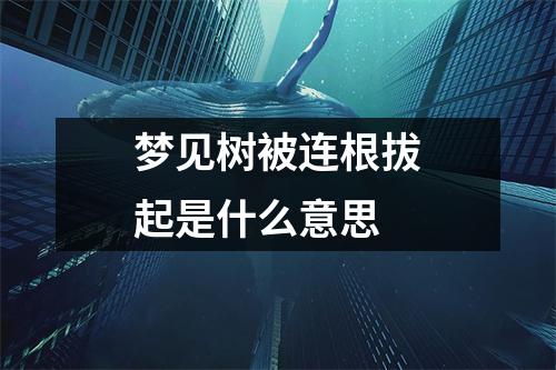 梦见树被连根拔起是什么意思