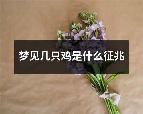 梦见几只鸡是什么征兆