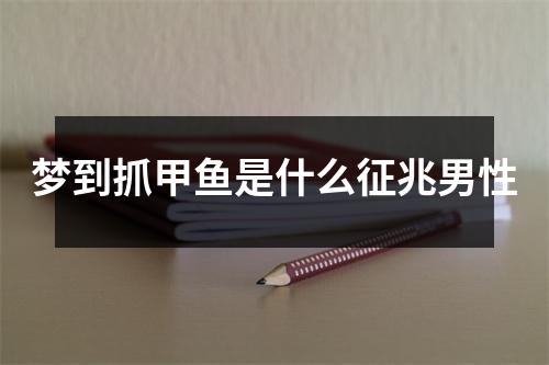 梦到抓甲鱼是什么征兆男性