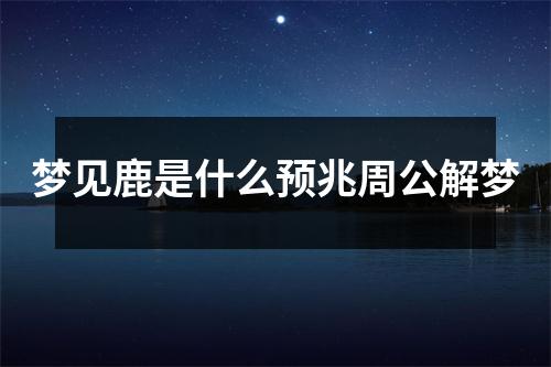 梦见鹿是什么预兆周公解梦