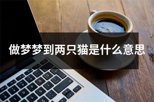 做梦梦到两只猫是什么意思