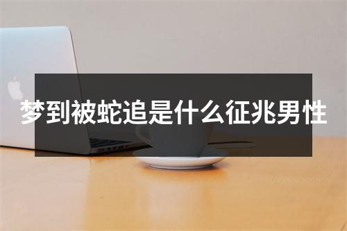 梦到被蛇追是什么征兆男性