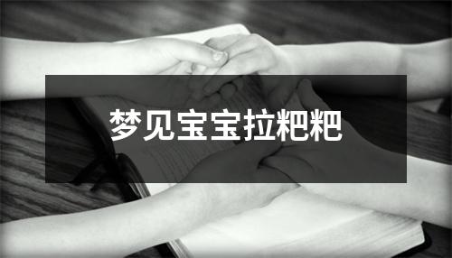 梦见宝宝拉粑粑