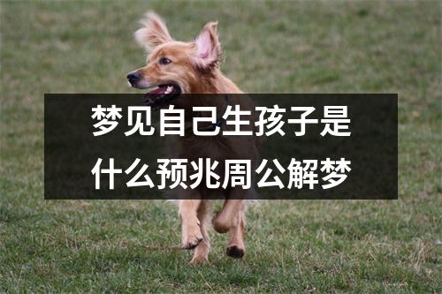 梦见自己生孩子是什么预兆周公解梦