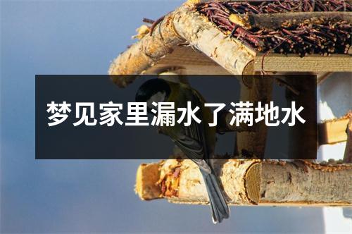 梦见家里漏水了满地水