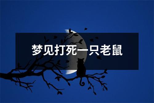 梦见打死一只老鼠