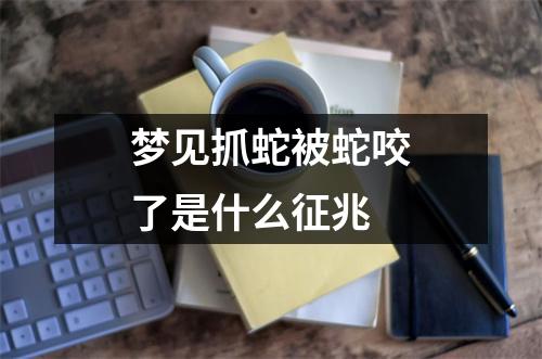 梦见抓蛇被蛇咬了是什么征兆