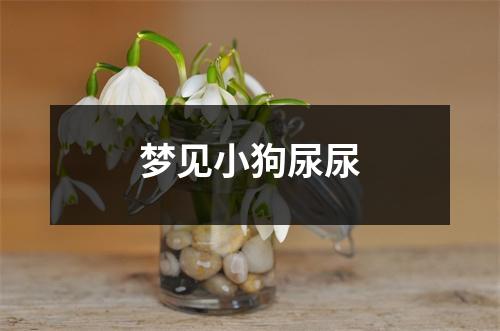 梦见小狗尿尿