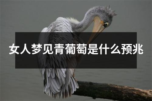 女人梦见青葡萄是什么预兆