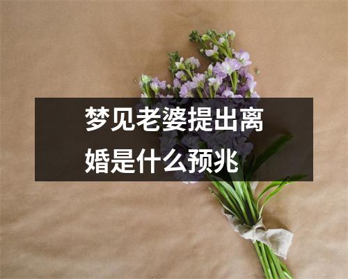 梦见老婆提出离婚是什么预兆