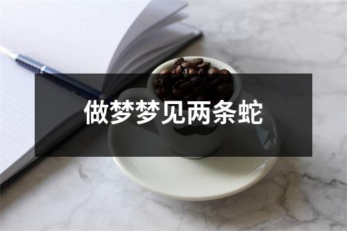 做梦梦见两条蛇