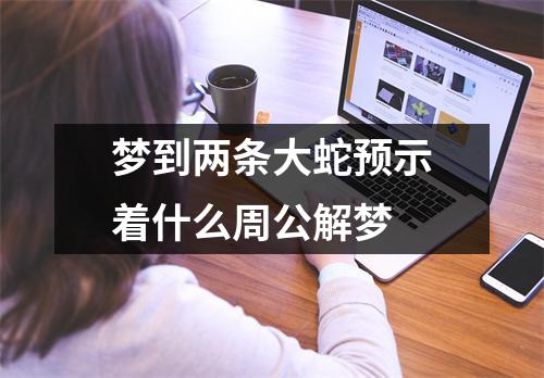 梦到两条大蛇预示着什么周公解梦