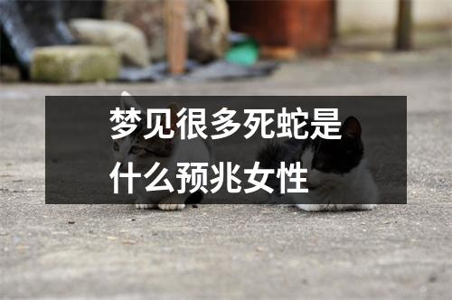 梦见很多死蛇是什么预兆女性