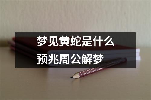 梦见黄蛇是什么预兆周公解梦